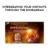 Russ Hudson – Intergrating Your Instincts Through the Enneagram | Available Now !