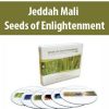 Seeds of Enlightenment – Jeddah Mali | Available Now !