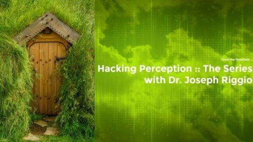 Joseph Riggio – Hacking Perception – The Series | Available Now !