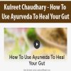 Kulreet Chaudhary – How To Use Ayurveda To Heal Your Gut | Available Now !