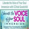 Liberate the Voice of Your Soul Immersion with CChloë Goodchild | Available Now !