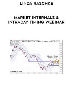 Linda Raschke – Market Internals & Intraday Timing Webinar | Available Now !