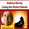 Living the Divine Human – Andrew Harvey | Available Now !