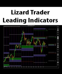 Lizard Trader – Leading Indicators | Available Now !
