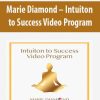 Marie Diamond – Intuiton to Success Video Program | Available Now !