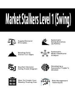 Market Stalkers Level 1 – Swing trading school (2020) | Available Now !