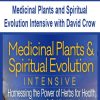 Medicinal Plants and Spiritual Evolution Intensive with David Crow | Available Now !