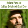 Medicinal Plants and Spiritual Evolution with David Crow | Available Now !