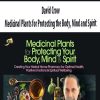 Medicinal Plants for Protecting the Body, Mind and Spirit – David Crow | Available Now !