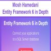 Mosh Hamedani – Entity Framework 6 in Depth | Available Now !