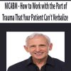 NICABM – How to Work with the Part of Trauma That Your Patient Can’t Verbalize | Available Now !