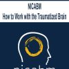 NICABM – How to Work with the Traumatized Brain | Available Now !