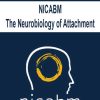 NICABM – The Neurobiology of Attachment | Available Now !
