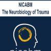 NICABM – The Neurobiology of Trauma | Available Now !