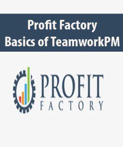 Profit Factory – Basics of TeamworkPM | Available Now !