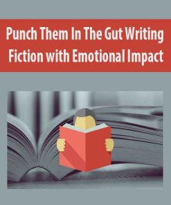 Punch Them In The Gut Writing Fiction with Emotional Impact | Available Now !