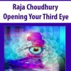 Raja Choudhury – Opening Your Third Eye | Available Now !