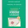 Richard Bandler – Thinking on Purpose | Available Now !