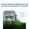 Reginald A. Ray – Somatic Descent Experiencing the Ultimate Intelligence of the Body | Available Now !