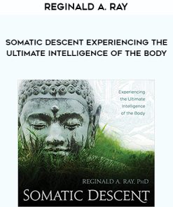 Reginald A. Ray – Somatic Descent Experiencing the Ultimate Intelligence of the Body | Available Now !