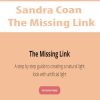 Sandra Coan – The Missing Link | Available Now !