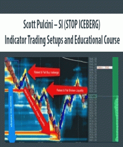 Scott Pulcini – SI (STOP ICEBERG) Indicator Trading Setups and Educational Course | Available Now !