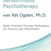 Sensorimotor Psychotherapy with Pat Ogden, Ph.D.: Body Oriented Therapy Techniques for Trauma and Attachment – Pat Ogden | Available Now !