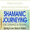 Shamanic Journeying for Guidance and Healing with Sandra Ingerman | Available Now !