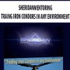 SHERIDANMENTORING – TRAING IRON CONDORS IN ANY ENVIRONMENT | Available Now !