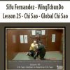 Sifu Fernandez – WingTchunDo – Lesson 25 – Chi Sao – Global Chi Sao | Available Now !