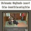 Sifu Fernandez – WingTchunDo – Lesson 41 – Chi Sao – Ground Chi Sao and Leg Chi Sao | Available Now !