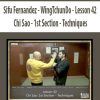 Sifu Fernandez – WingTchunDo – Lesson 42 – Chi Sao – 1st Section – Techniques | Available Now !