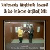 Sifu Fernandez – WingTchunDo – Lesson 43 – Chi Sao – 1st Section – Jut (Shock) Drills | Available Now !