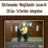 Sifu Fernandez – WingTchunDo – Lesson 44 – Chi Sao – 1st Section – Integration | Available Now !