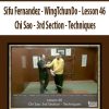 Sifu Fernandez – WingTchunDo – Lesson 46 – Chi Sao – 3rd Section – Techniques | Available Now !