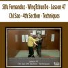 Sifu Fernandez – WingTchunDo – Lesson 47 – Chi Sao – 4th Section – Techniques | Available Now !