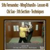 Sifu Fernandez – WingTchunDo – Lesson 48 – Chi Sao – 5th Section – Techniques | Available Now !