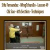 Sifu Fernandez – WingTchunDo – Lesson 49 – Chi Sao – 6th Section – Techniques | Available Now !
