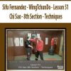 Sifu Fernandez – WingTchunDo – Lesson 51 – Chi Sao – 8th Section – Techniques | Available Now !