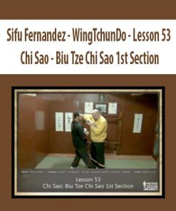 Sifu Fernandez – WingTchunDo – Lesson 53 – Chi Sao – Biu Tze Chi Sao 1st Section | Available Now !