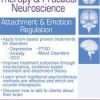 Brain-Based Therapy & Practical Neuroscience: Attachment & Emotion Regulation – Jennifer Sweeton | Available Now !