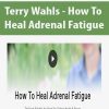 Terry Wahls – How To Heal Adrenal Fatigue | Available Now !