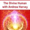 The Divine Human with Andrew Harvey | Available Now !