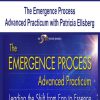 The Emergence Process Advanced Practicum with Patricia Ellsberg | Available Now !