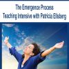 The Emergence Process Teaching Intensive with Patricia Ellsberg | Available Now !