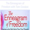 The Enneagram of Freedom with Tom Condon | Available Now !