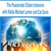 The Passionate Citizen Intensive with Rabbi Michael Lerner and Cat Zavis | Available Now !