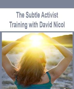 The Subtle Activist Training with David Nicol | Available Now !