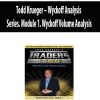 Todd Krueger – Wyckoff Analysis Series. Module 1. Wyckoff Volume Analysis | Available Now !