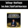 Todd Krueger – Wyckoff Analysis Series. Module 2. Wyckoff Candle Volume Analysis | Available Now !